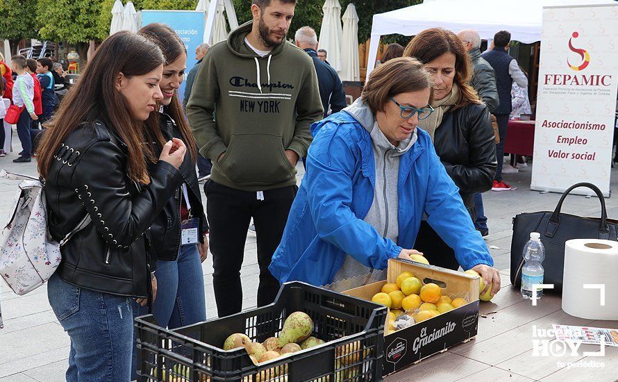 GALERÍA: La Plaza Nueva se llena de actividades saludables de la mano de las asociaciones locales