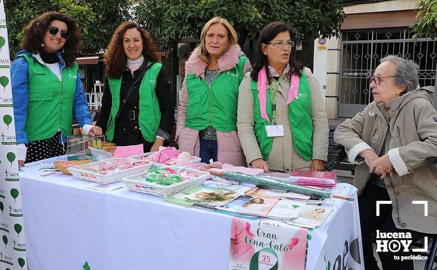 GALERÍA: La Plaza Nueva se llena de actividades saludables de la mano de las asociaciones locales