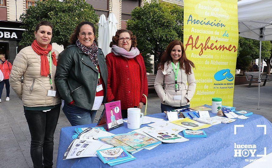 GALERÍA: La Plaza Nueva se llena de actividades saludables de la mano de las asociaciones locales