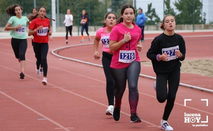 GALERÍA III: XXI Carrera Popular Ciudad de Lucena: Categorías Juvenil, Cadete e Infantil GALERÍA III: XXI Carrera Popular Ciudad de Lucena: Categorías Juvenil, Cadete e Infantil