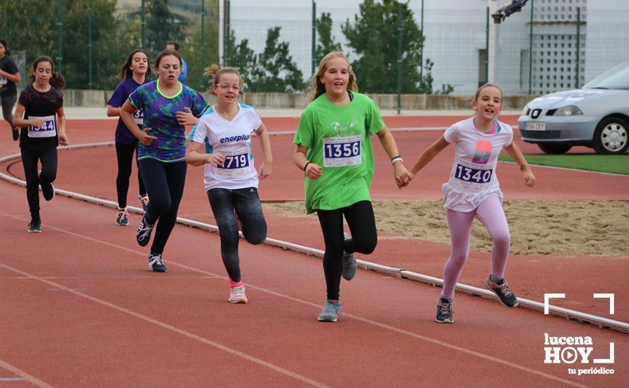 GALERÍA III: XXI Carrera Popular Ciudad de Lucena: Categorías Juvenil, Cadete e Infantil GALERÍA III: XXI Carrera Popular Ciudad de Lucena: Categorías Juvenil, Cadete e Infantil