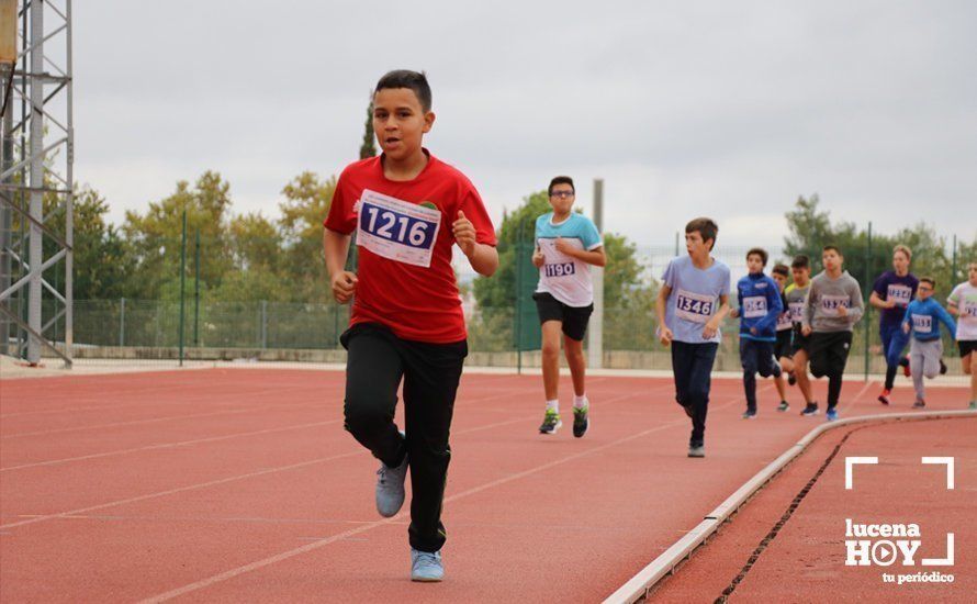 GALERÍA III: XXI Carrera Popular Ciudad de Lucena: Categorías Juvenil, Cadete e Infantil