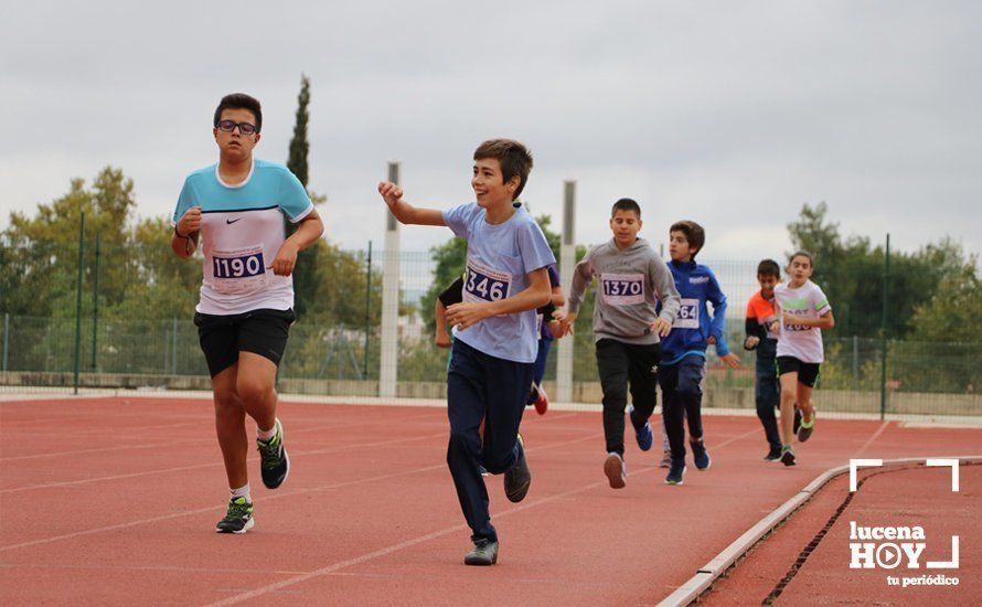 GALERÍA III: XXI Carrera Popular Ciudad de Lucena: Categorías Juvenil, Cadete e Infantil GALERÍA III: XXI Carrera Popular Ciudad de Lucena: Categorías Juvenil, Cadete e Infantil