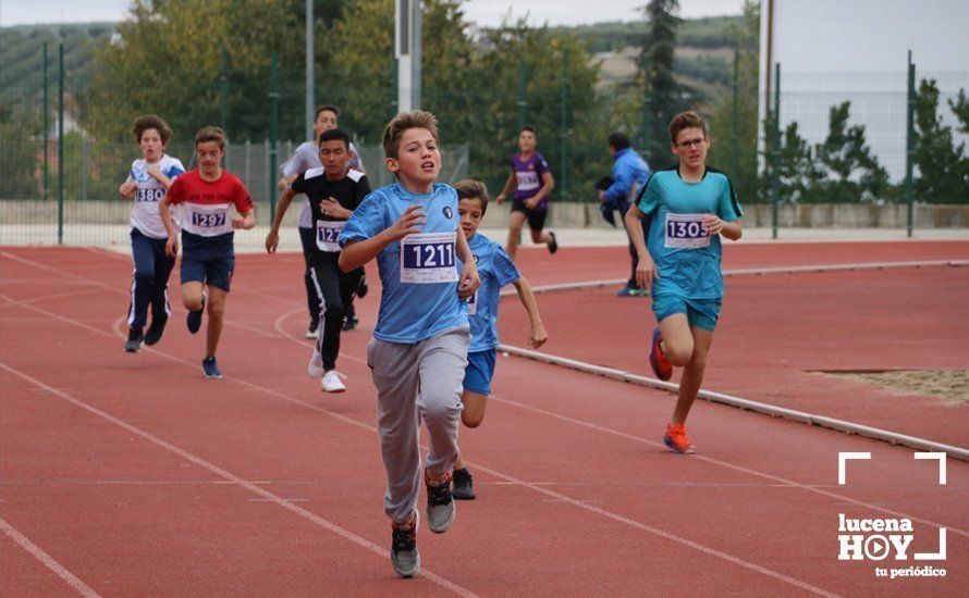 GALERÍA III: XXI Carrera Popular Ciudad de Lucena: Categorías Juvenil, Cadete e Infantil GALERÍA III: XXI Carrera Popular Ciudad de Lucena: Categorías Juvenil, Cadete e Infantil