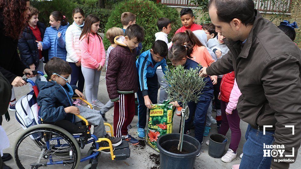  Los alumnos del colegio El Prado con su nuevo árbol "Aceitunito" 