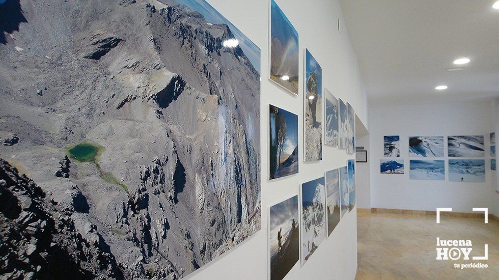  Una panorámica de la exposición de este ciclo 