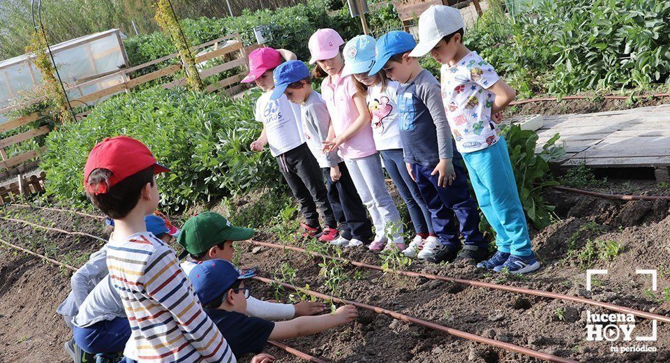  Niños en una actividad del Aula de la Naturaleza en los Huertos Sociales de La Estación. Archivo 