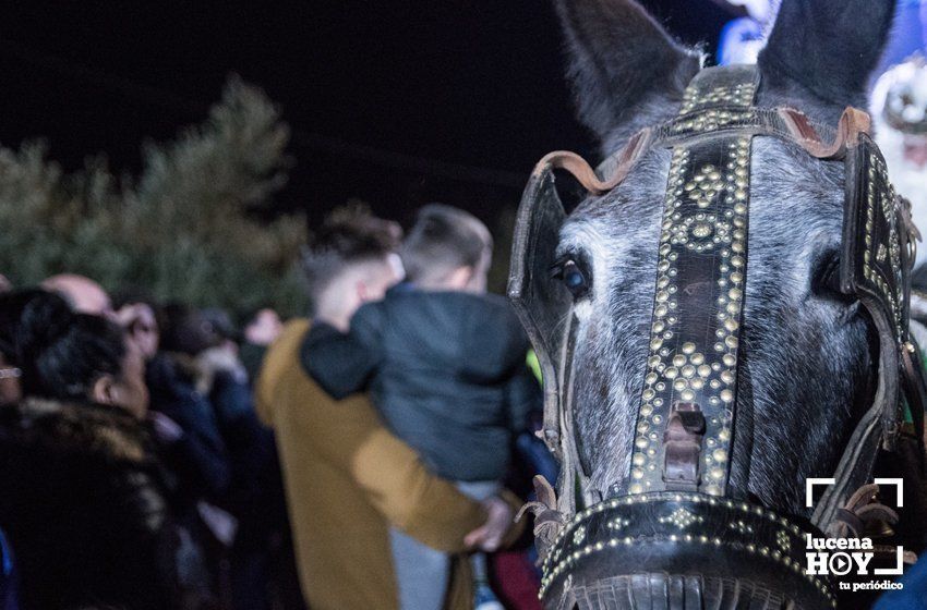 GALERÍA: Los Reyes Magos hacen su primera parada en la Cabalgata del Cristo Marroquí y Campo de Aras