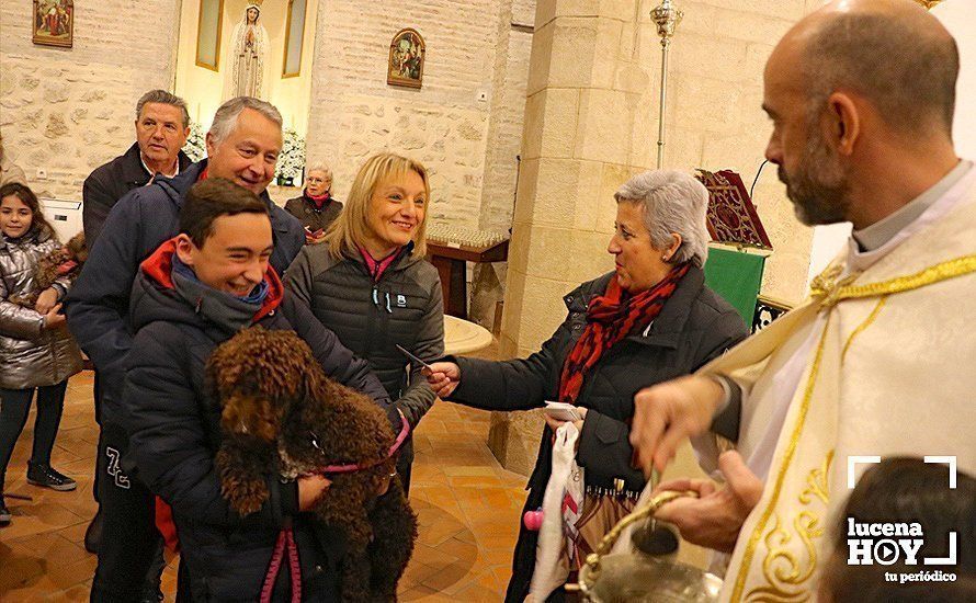 GALERÍA: La iglesia de Santiago se llena de animales para recibir la bendición de San Antón