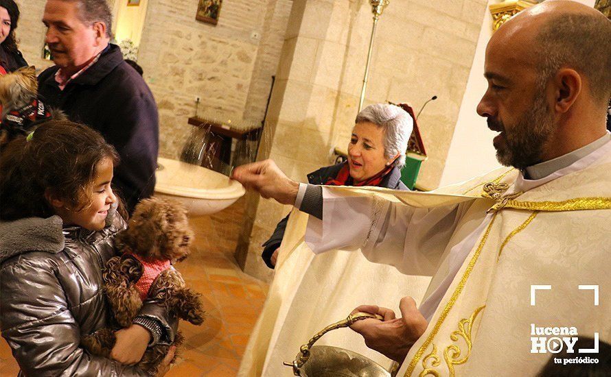 GALERÍA: La iglesia de Santiago se llena de animales para recibir la bendición de San Antón