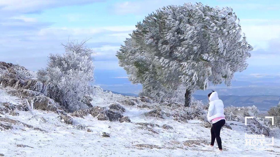  Nieve en la Sierra de Cabra, esta mañana 