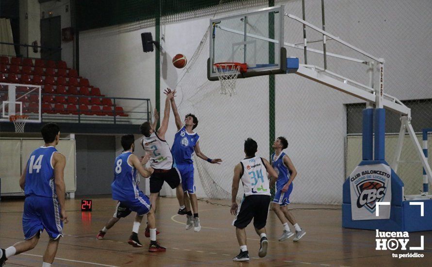 GALERÍA: El Club Baloncesto Ciudad de Lucena salda con sendas victorias sus partidos de la semana frente a Pozoblanco y La Rambla y ya es quinto