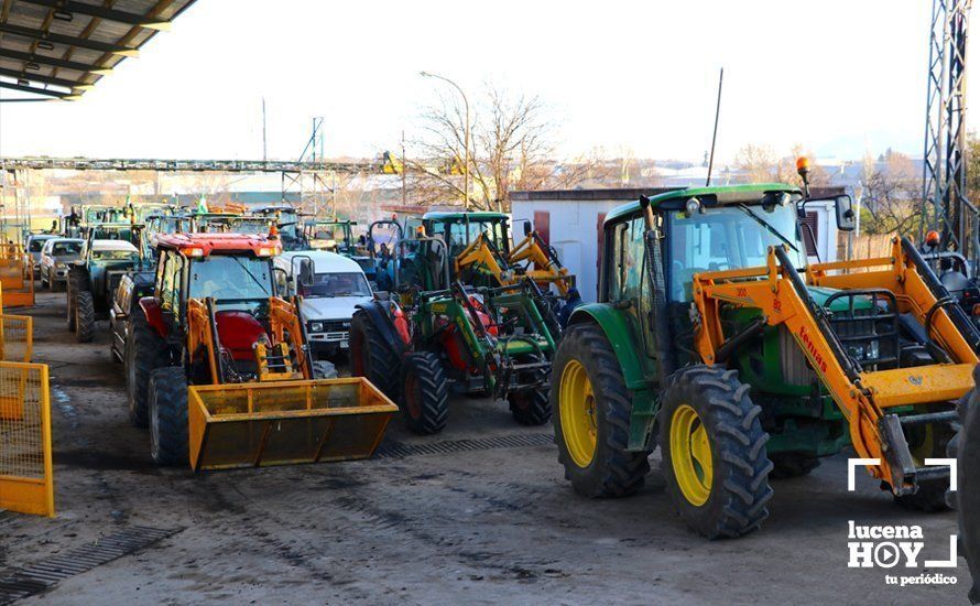 GALERÍA: El sector oleícola del sur de Córdoba muestra su indignación por los bajos precios con una tractorada histórica en Lucena GALERÍA: El sector oleícola del sur de Córdoba muestra su indignación por los bajos precios con una tractorada histórica en Lucena
