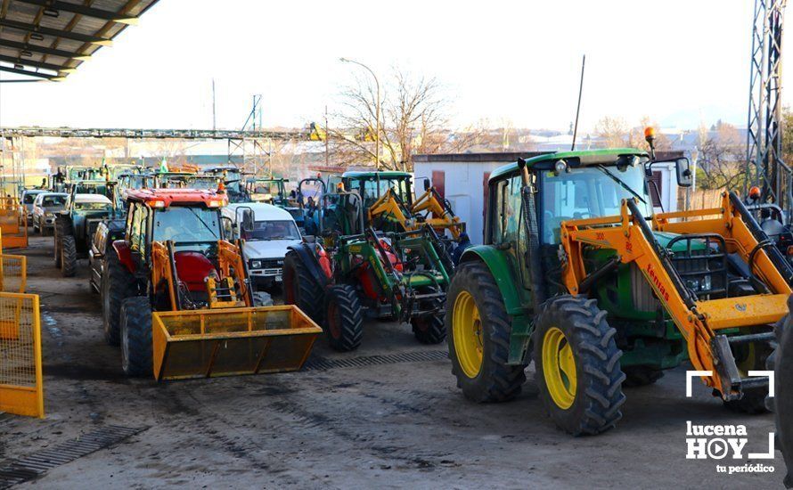 GALERÍA: El sector oleícola del sur de Córdoba muestra su indignación por los bajos precios con una tractorada histórica en Lucena