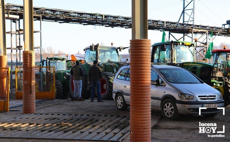 GALERÍA: El sector oleícola del sur de Córdoba muestra su indignación por los bajos precios con una tractorada histórica en Lucena