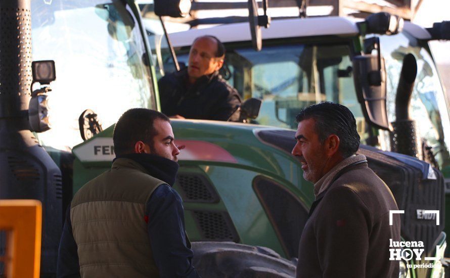 GALERÍA: El sector oleícola del sur de Córdoba muestra su indignación por los bajos precios con una tractorada histórica en Lucena GALERÍA: El sector oleícola del sur de Córdoba muestra su indignación por los bajos precios con una tractorada histórica en Lucena