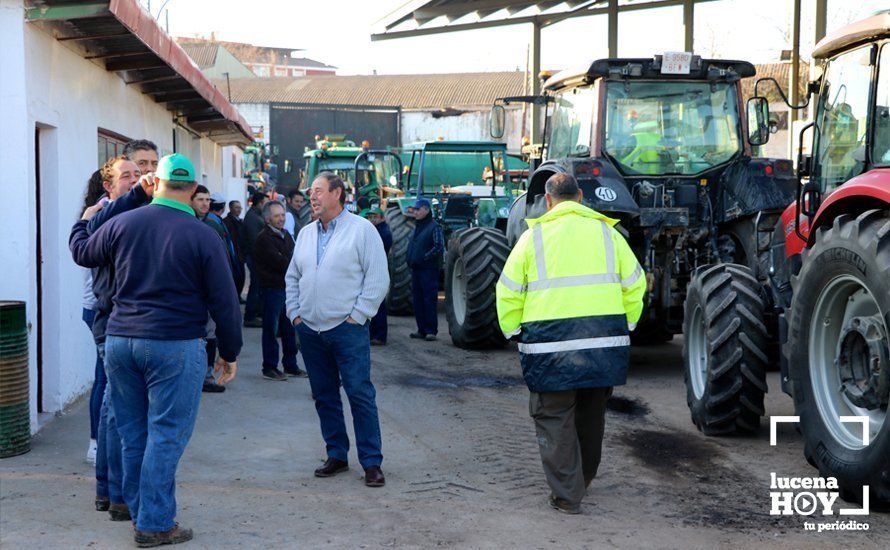 GALERÍA: El sector oleícola del sur de Córdoba muestra su indignación por los bajos precios con una tractorada histórica en Lucena