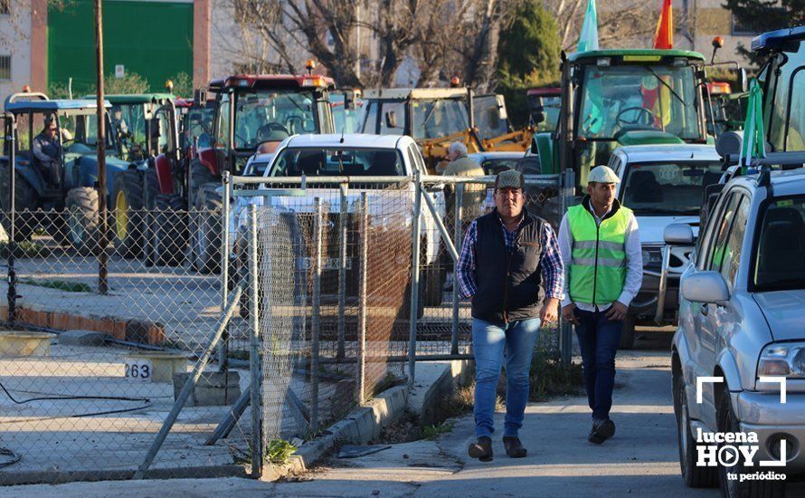 GALERÍA: El sector oleícola del sur de Córdoba muestra su indignación por los bajos precios con una tractorada histórica en Lucena