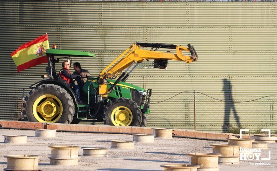 GALERÍA: El sector oleícola del sur de Córdoba muestra su indignación por los bajos precios con una tractorada histórica en Lucena