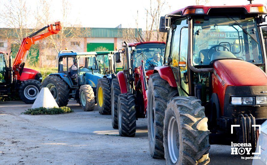 GALERÍA: El sector oleícola del sur de Córdoba muestra su indignación por los bajos precios con una tractorada histórica en Lucena GALERÍA: El sector oleícola del sur de Córdoba muestra su indignación por los bajos precios con una tractorada histórica en Lucena