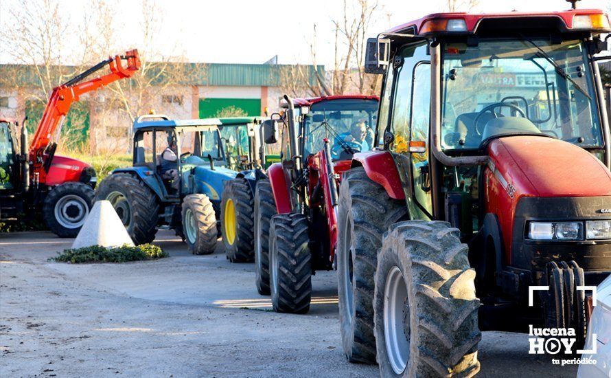 GALERÍA: El sector oleícola del sur de Córdoba muestra su indignación por los bajos precios con una tractorada histórica en Lucena