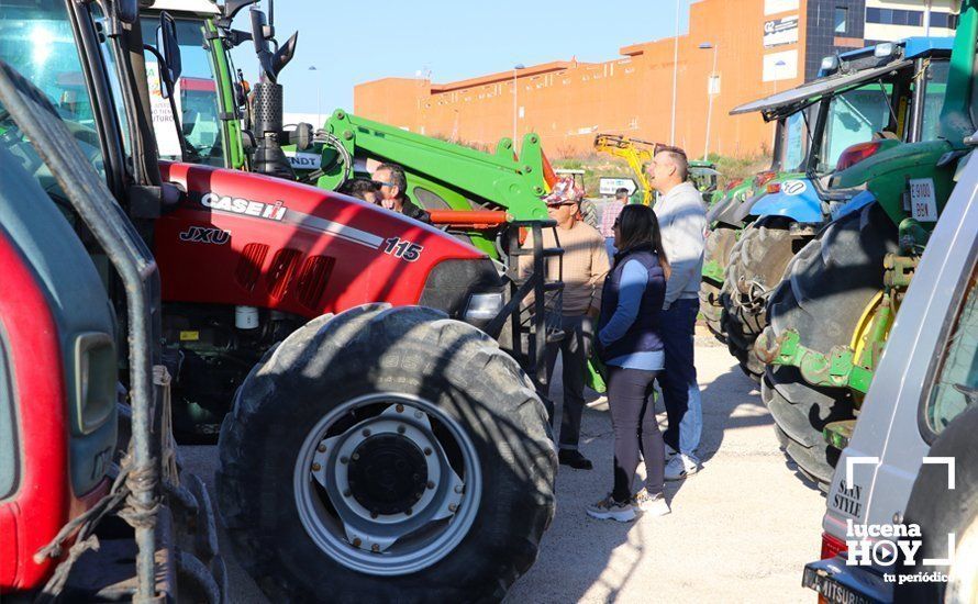 GALERÍA: El sector oleícola del sur de Córdoba muestra su indignación por los bajos precios con una tractorada histórica en Lucena