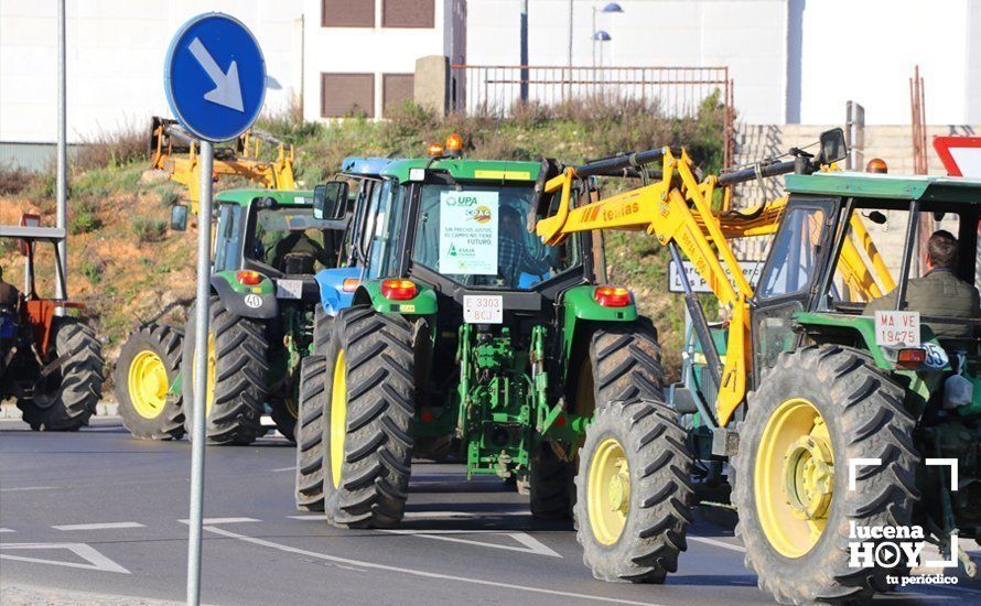 GALERÍA: El sector oleícola del sur de Córdoba muestra su indignación por los bajos precios con una tractorada histórica en Lucena