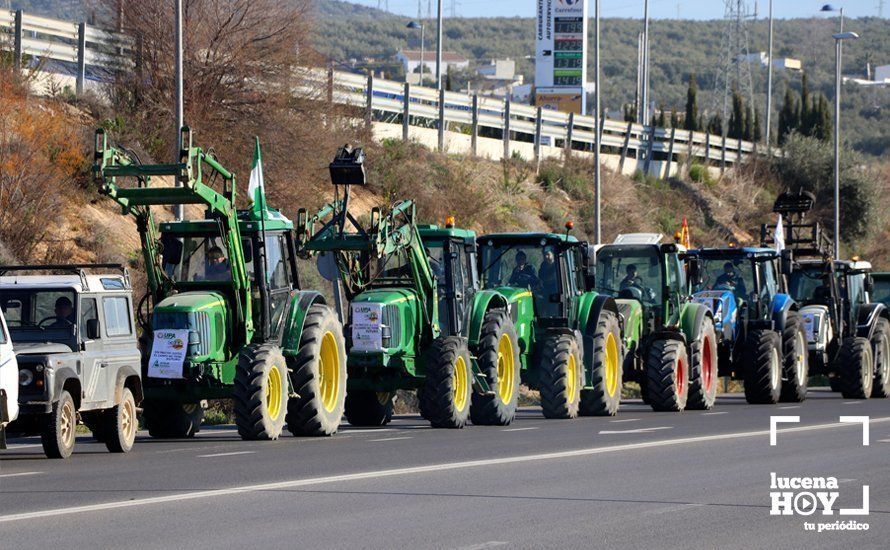 GALERÍA: El sector oleícola del sur de Córdoba muestra su indignación por los bajos precios con una tractorada histórica en Lucena GALERÍA: El sector oleícola del sur de Córdoba muestra su indignación por los bajos precios con una tractorada histórica en Lucena
