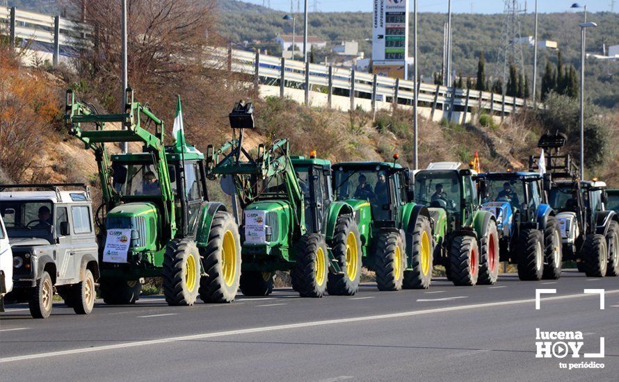 GALERÍA: El sector oleícola del sur de Córdoba muestra su indignación por los bajos precios con una tractorada histórica en Lucena