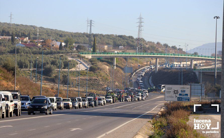 GALERÍA: El sector oleícola del sur de Córdoba muestra su indignación por los bajos precios con una tractorada histórica en Lucena