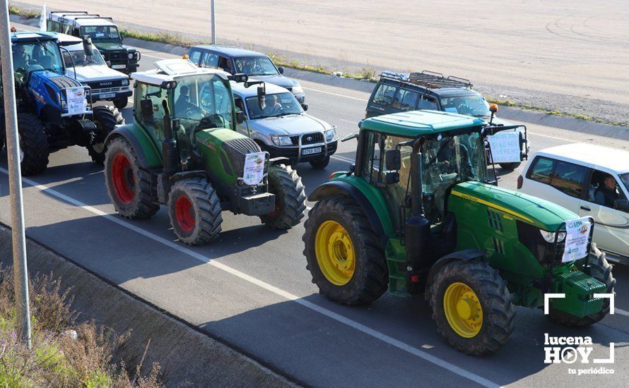 GALERÍA: El sector oleícola del sur de Córdoba muestra su indignación por los bajos precios con una tractorada histórica en Lucena