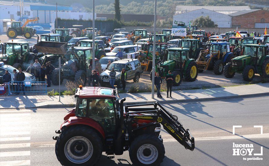 GALERÍA: El sector oleícola del sur de Córdoba muestra su indignación por los bajos precios con una tractorada histórica en Lucena