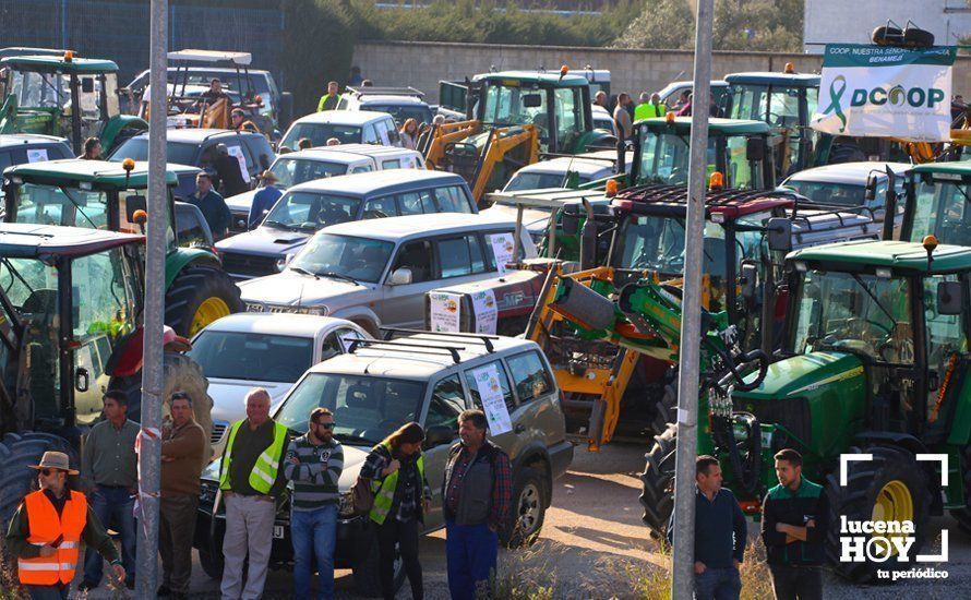 GALERÍA: El sector oleícola del sur de Córdoba muestra su indignación por los bajos precios con una tractorada histórica en Lucena