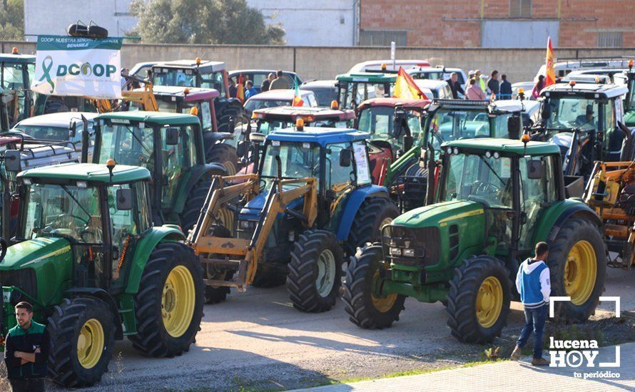 GALERÍA: El sector oleícola del sur de Córdoba muestra su indignación por los bajos precios con una tractorada histórica en Lucena