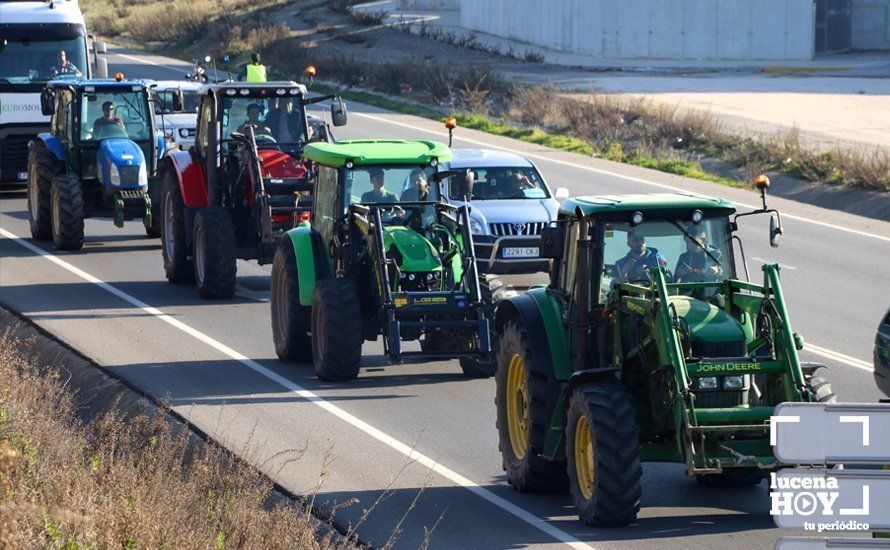 GALERÍA: El sector oleícola del sur de Córdoba muestra su indignación por los bajos precios con una tractorada histórica en Lucena