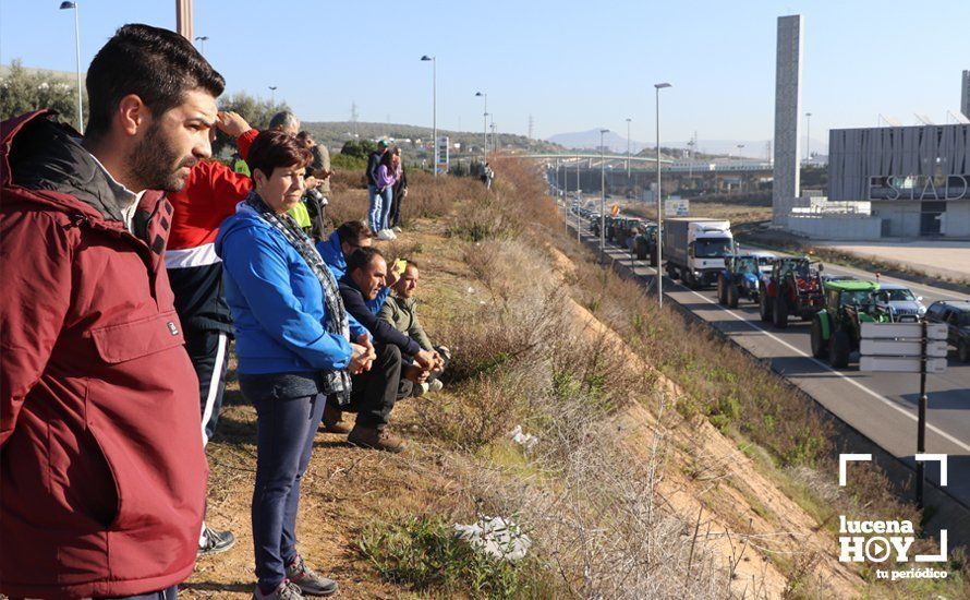 GALERÍA: El sector oleícola del sur de Córdoba muestra su indignación por los bajos precios con una tractorada histórica en Lucena