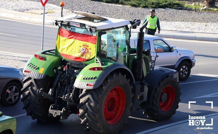 GALERÍA: El sector oleícola del sur de Córdoba muestra su indignación por los bajos precios con una tractorada histórica en Lucena