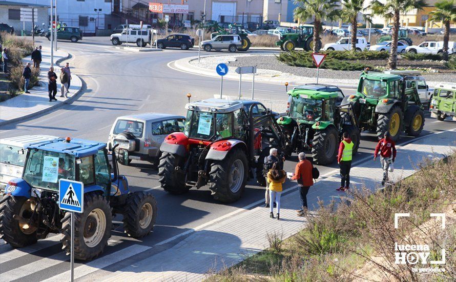 GALERÍA: El sector oleícola del sur de Córdoba muestra su indignación por los bajos precios con una tractorada histórica en Lucena