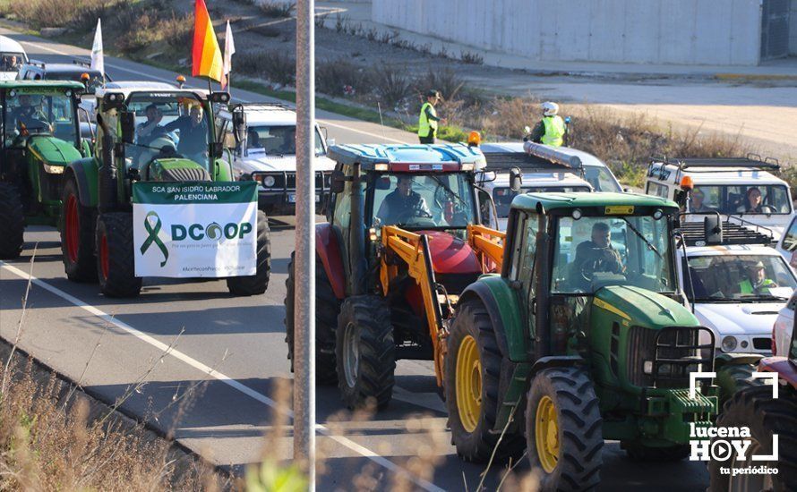 GALERÍA: El sector oleícola del sur de Córdoba muestra su indignación por los bajos precios con una tractorada histórica en Lucena