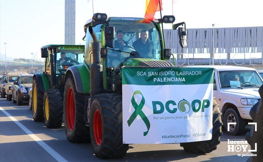 GALERÍA: El sector oleícola del sur de Córdoba muestra su indignación por los bajos precios con una tractorada histórica en Lucena