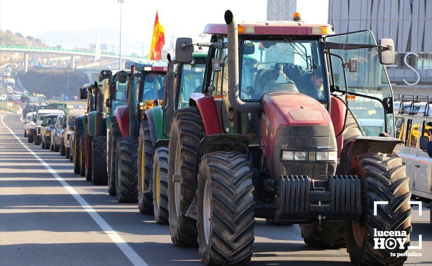 GALERÍA: El sector oleícola del sur de Córdoba muestra su indignación por los bajos precios con una tractorada histórica en Lucena