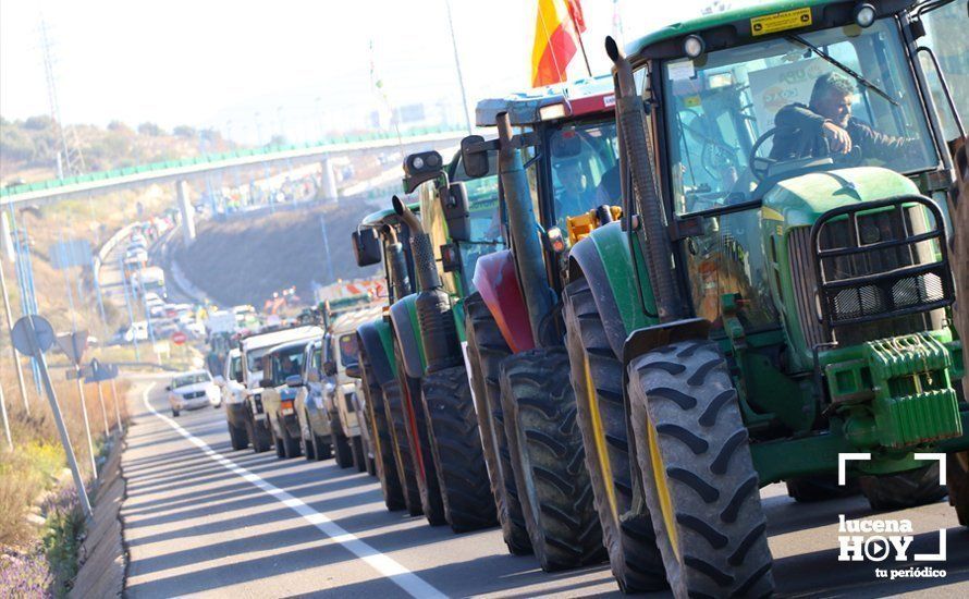 GALERÍA: El sector oleícola del sur de Córdoba muestra su indignación por los bajos precios con una tractorada histórica en Lucena