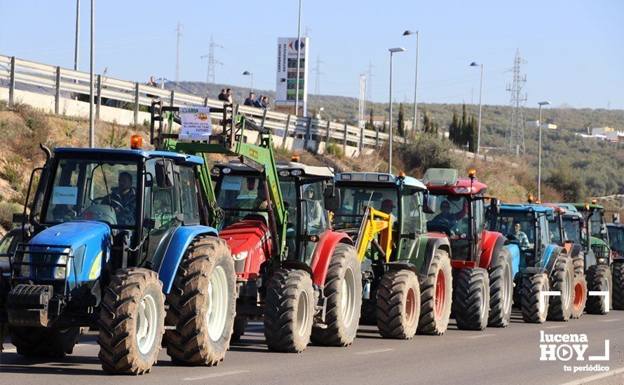 GALERÍA: El sector oleícola del sur de Córdoba muestra su indignación por los bajos precios con una tractorada histórica en Lucena