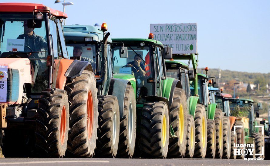 GALERÍA: El sector oleícola del sur de Córdoba muestra su indignación por los bajos precios con una tractorada histórica en Lucena