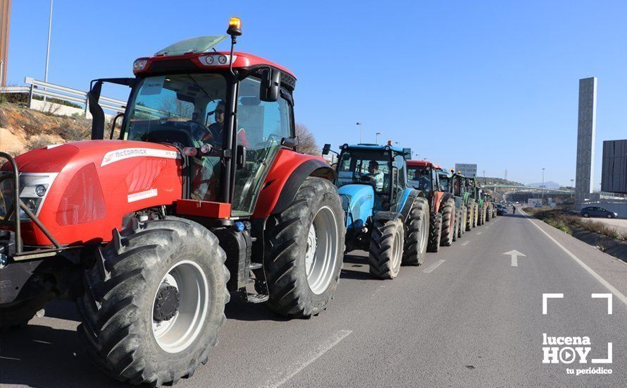 GALERÍA: El sector oleícola del sur de Córdoba muestra su indignación por los bajos precios con una tractorada histórica en Lucena