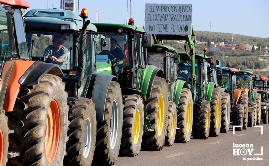 GALERÍA: El sector oleícola del sur de Córdoba muestra su indignación por los bajos precios con una tractorada histórica en Lucena