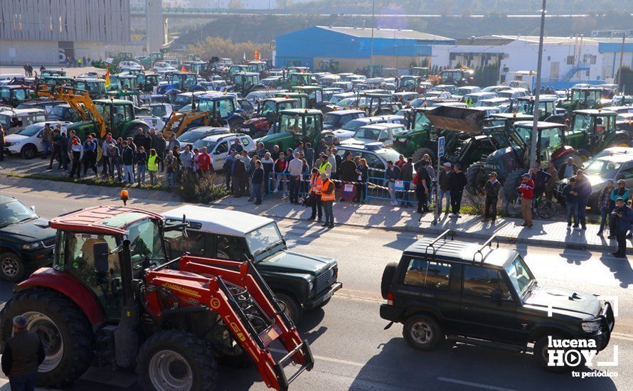 GALERÍA: El sector oleícola del sur de Córdoba muestra su indignación por los bajos precios con una tractorada histórica en Lucena