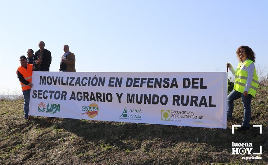 GALERÍA: El sector oleícola del sur de Córdoba muestra su indignación por los bajos precios con una tractorada histórica en Lucena