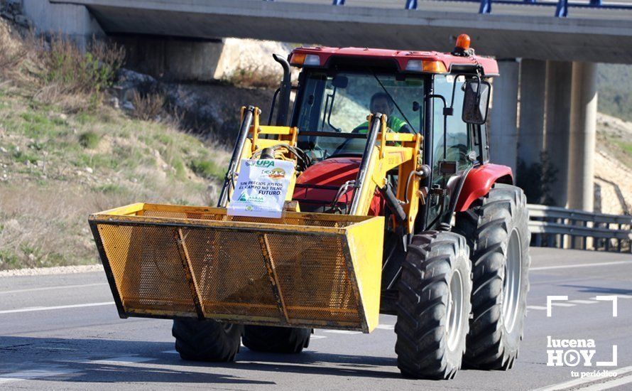 GALERÍA: El sector oleícola del sur de Córdoba muestra su indignación por los bajos precios con una tractorada histórica en Lucena