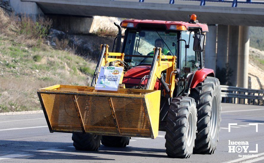 GALERÍA: El sector oleícola del sur de Córdoba muestra su indignación por los bajos precios con una tractorada histórica en Lucena GALERÍA: El sector oleícola del sur de Córdoba muestra su indignación por los bajos precios con una tractorada histórica en Lucena